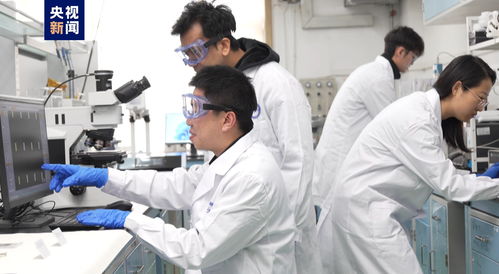 我國科研人員實現(xiàn)二維金屬碲化物材料宏量制備，助力材料科學(xué)規(guī)?；瘧?yīng)用